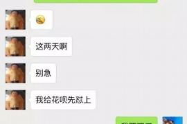 沧州沧州的要账公司在催收过程中的策略和技巧有哪些？